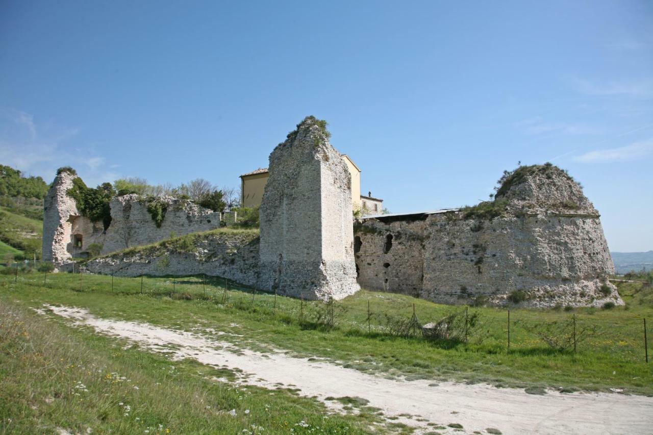 Il Cavallino Hotel Fossombrone Luaran gambar